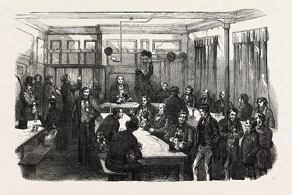 FANCY DOG SHOW, 1851 engraving