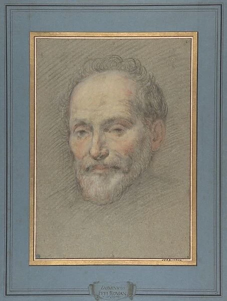 Head Bearded Man 1588  /  89-1623 Black chalk red