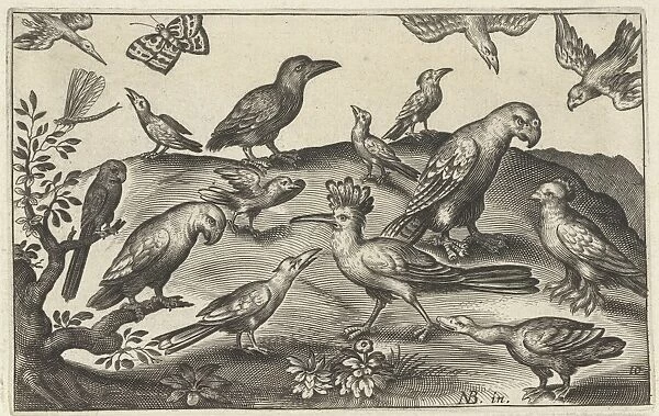 Hop and other birds, Anonymous, Claes Jansz. Visscher (II), 1594 - 1644