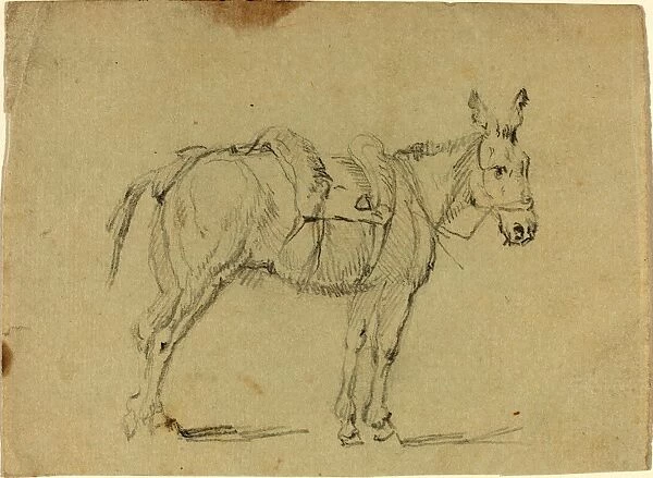 John Flaxman (British, 1755 - 1826), Donkey Stretching a Hind Leg, graphite on laid paper