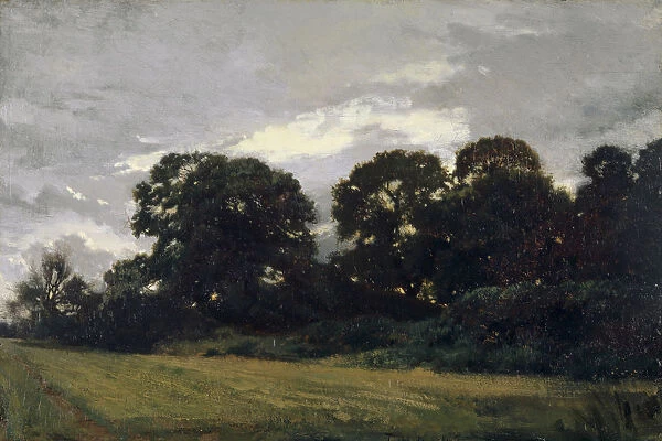 Landscape groups trees 1847 oil panel 24. 3 x 36. 2 cm