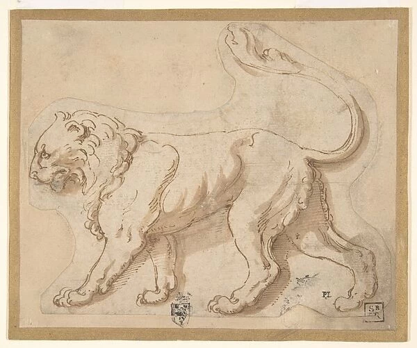 Lion Profile Facing Left Leo n. d Pen brown ink