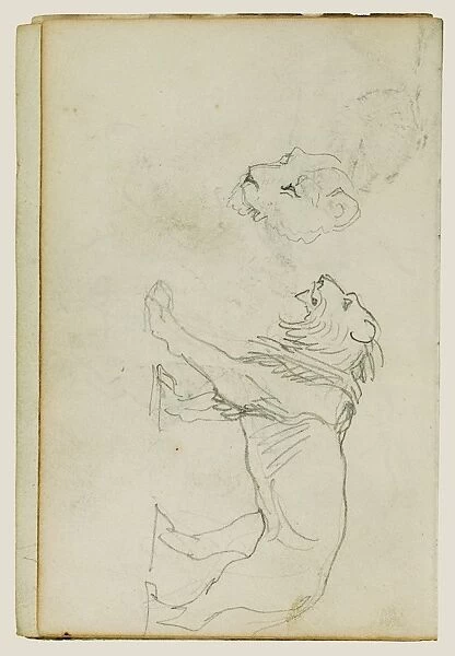 Lion walking, head of a lioness