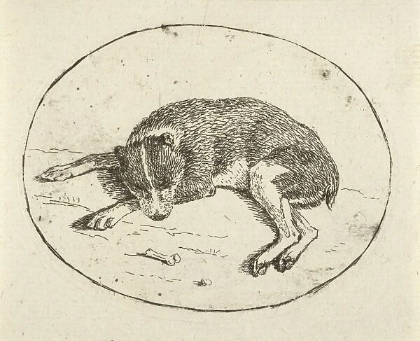 Lying dog, Anthonie van den Bos, 1778 - 1838