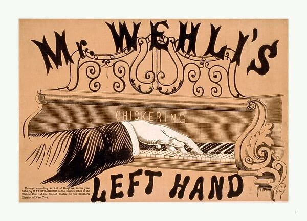 Mr. Wehlis Left Hand, 1865