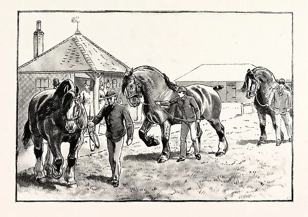 A Parade in Front of the Pavilion in Mr. Gilbeys Paddocks at Elsenham