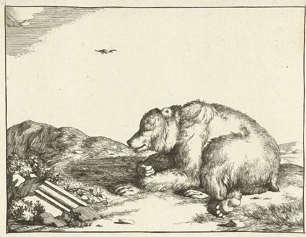 Reclining bear, print maker: Marcus de Bye, Marcus Gerards I, 1664