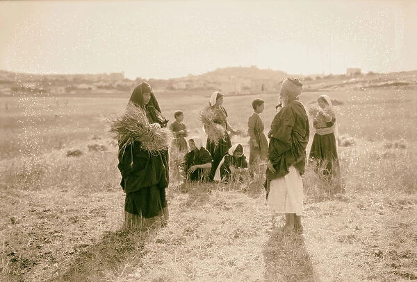 Ruth series threshing floor winnowing 1925 Middle East
