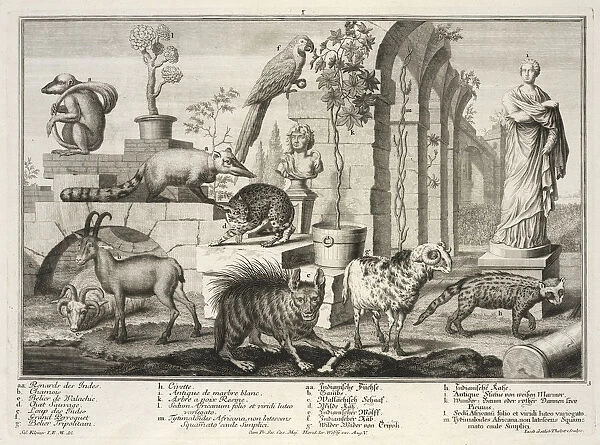 Small Herculaneum woman set garden exotic animals