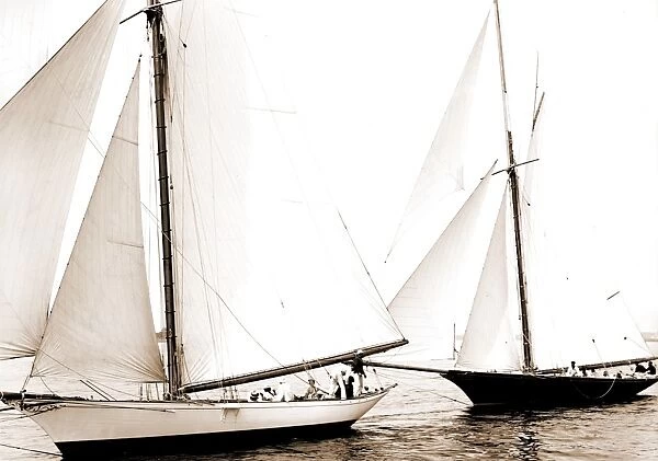 Start, Gossoon and Minerva, Gossoon (Sloop), Minerva (Yacht), Yachts, 1890