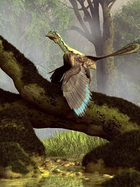 An Archaeopteryx on a log above a stream