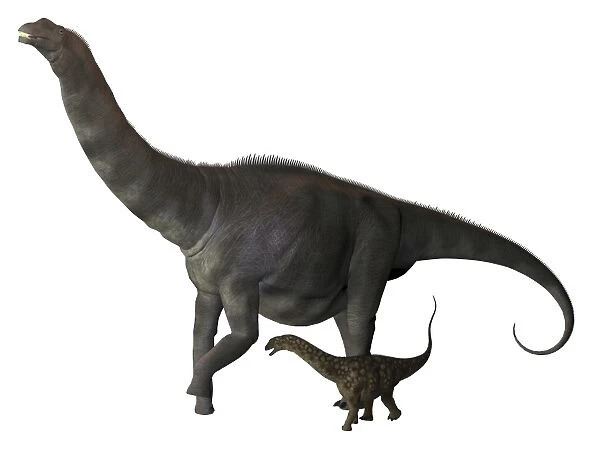 An Argentinosaurus and juvenile