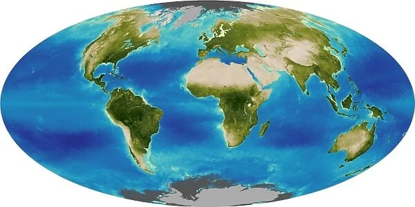Average plant growth of the Earth
