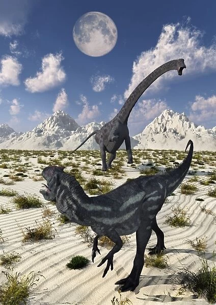 A carnivorous Allosaurus confronting a giant Diplodocus