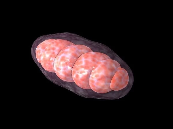 Conceptual image of mitochondria