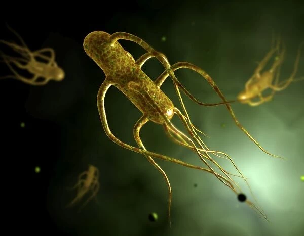 Conceptual image of salmonella typhi causing typhoid