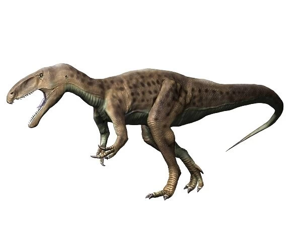 Eustreptospondylus dinosaur