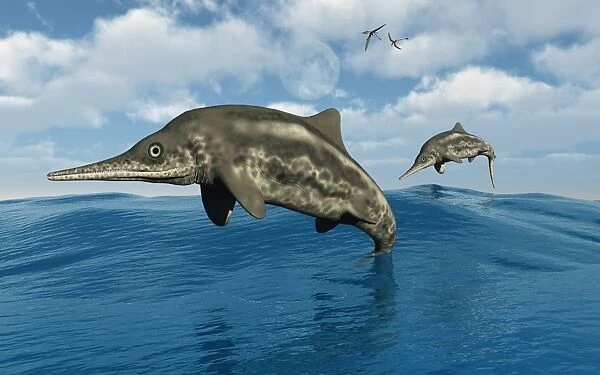 Ichthyosaurs jumping out of the water