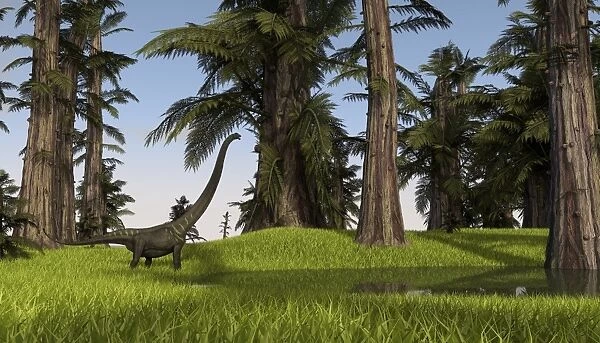 Mamenchisaurus walking along a nearby swamp