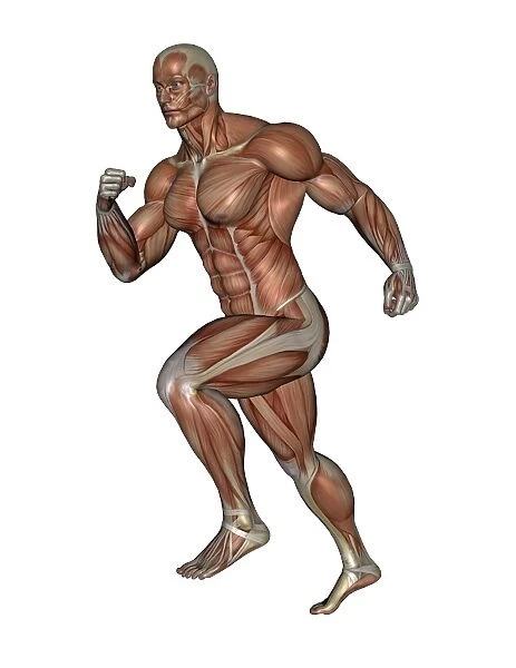 Muscular man running