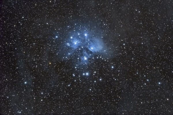 The Pleiades, also known as the Seven Sisters