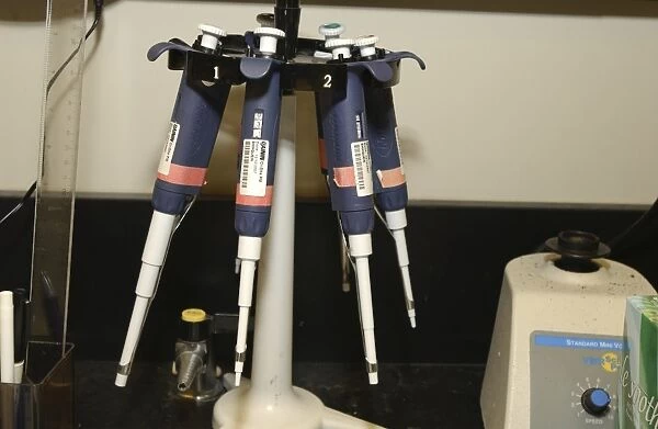 Rack of pipettes