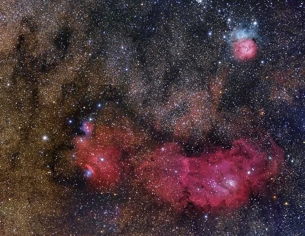 The Sagittarius Triplet featuring the Lagoon and Trifid Nebula, and NGC 6559