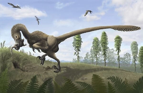 Saurornitholestes seeks prey in burrows