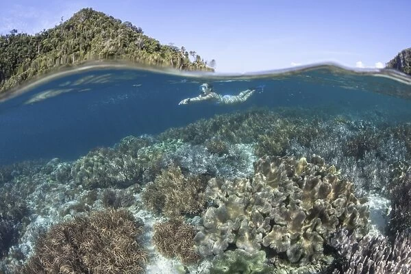 A snorkeler explores a shallow lagoon in Raja Ampat