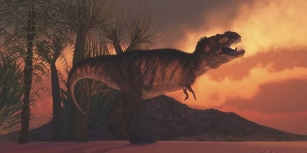 A Tyrannosaurus rex dinosaur roars to claim his territory