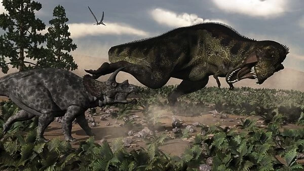 Tyrannosaurus rex roaring at a Triceratops