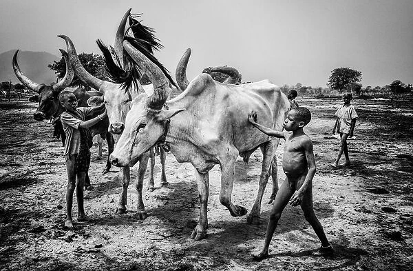 Mundari tribe children taking care of the cattle - South Sudan