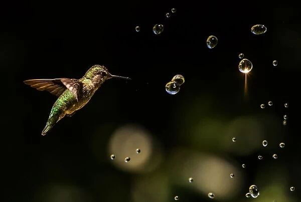 Play with Water Drops