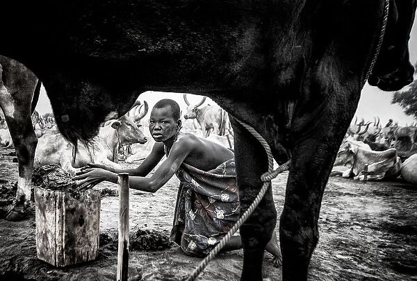 A scene in a mundari cattle camp-III - South Sudan