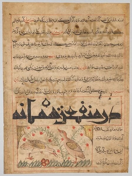 On the Benefits of Quails (verso) from a Manafi al-Hayawan... c. 1300. Creator: Unknown