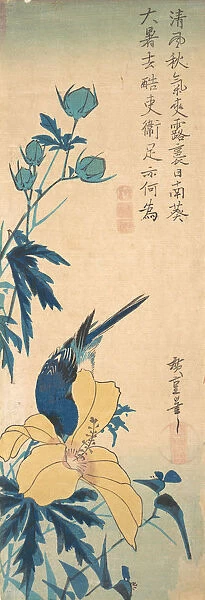Blue Bird. Creator: Ando Hiroshige
