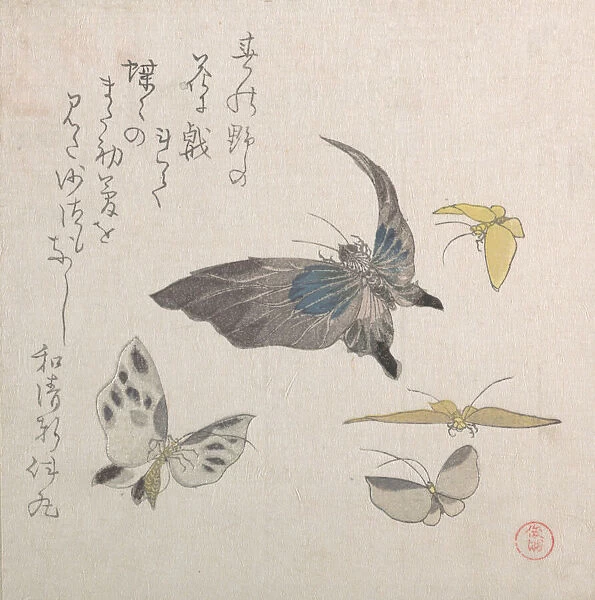 Butterflies, 19th century. Creator: Kubo Shunman