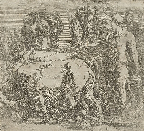 Cadmus Tilling the Field Where He Sowed the Dragons Teeth, 1540-45
