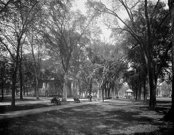 City Green, New Haven, between 1900 and 1906. Creator: Unknown