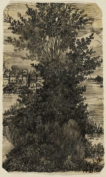 Clump of Trees with a Village in the Distance, 1861. Creator: Rodolphe Bresdin