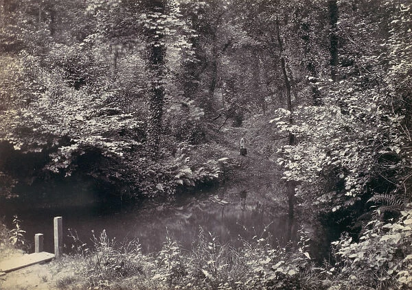 Colwyn Bay. The Pool in the Wood, 1870s. Creator: Francis Bedford