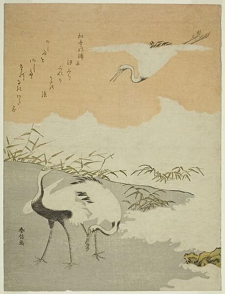 Cranes at the Sea Shore, c. 1768. Creator: Suzuki Harunobu