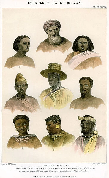 Ethnology, Races of Man, 1800-1900. Artist: R Anderson