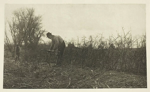 Fencing in Suffolk, c. 1883  /  87, printed 1888. Creator: Peter Henry Emerson
