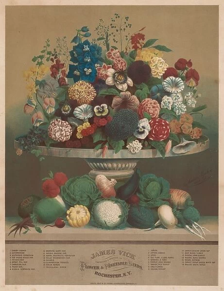 Flowers and Vegetables, 1800s. Creator: Anton Carl Rahn (American, born Germany, 1842-1907)