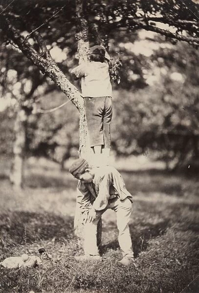 French Country Study: Two Boys Climbing a Tree, late 1870 s. Creator: Auguste Giraudons Artist