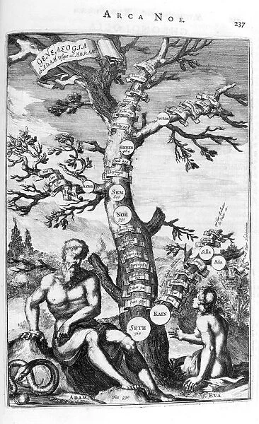 Genealogy tree of Adam, 1675. Artist: Athanasius Kircher