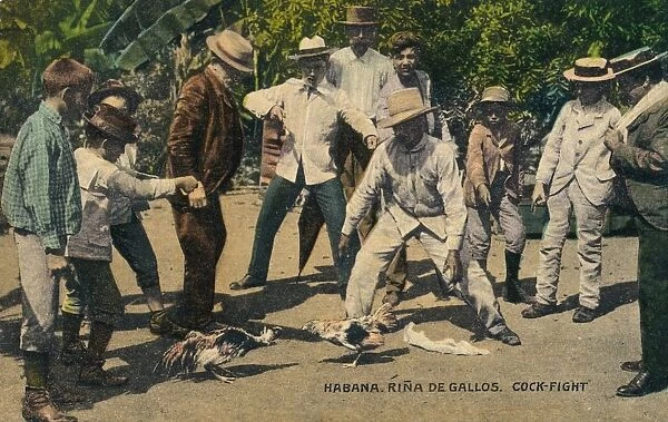 Habana. Rina de Gallos. Cock-fight, c. 1900s