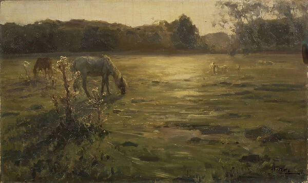 Horses on the meadow. Artist: Klodt, Nikolai Alexandrovich (1865-1918)