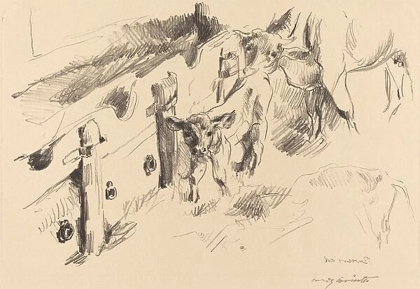 Kalber (Calves), 1912. Creator: Lovis Corinth